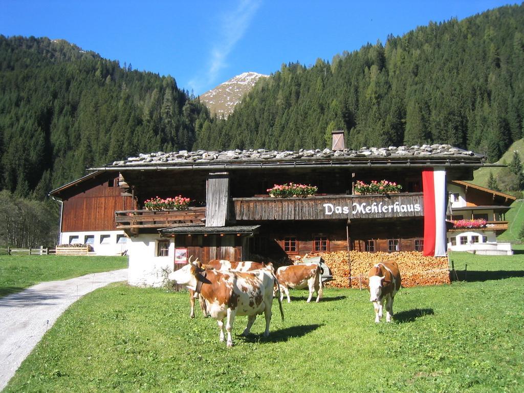Mehlerhof Διαμέρισμα Tux Εξωτερικό φωτογραφία